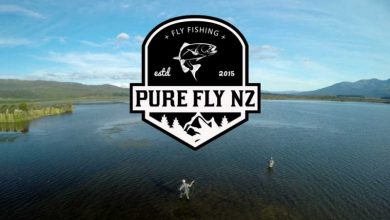 Pure Fly TV Show Series Image