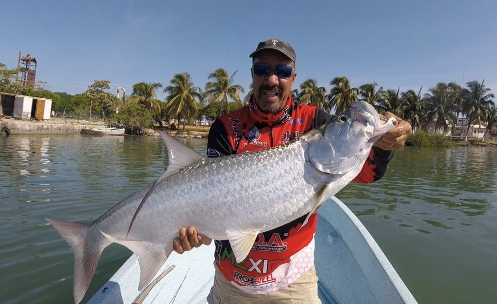 A stunning tarpon